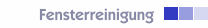 Fensterreinigung 