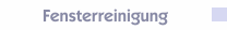 Fensterreinigung 